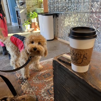 Mickey’s - Pup-friendly! - Used Bookstore Near Me - New Albany, Indiana