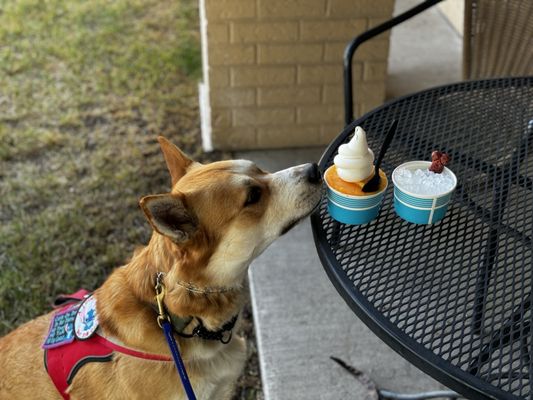Soda Crazy about Italian Ice
