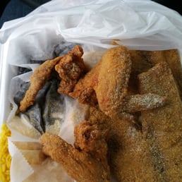 Tilapia