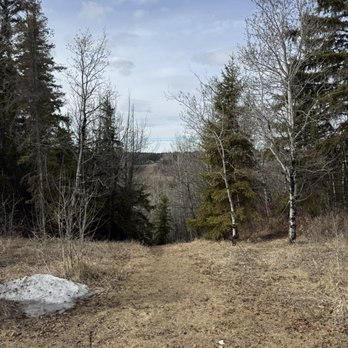 Whitemud Park - Parks Near Me - Edmonton, Alberta