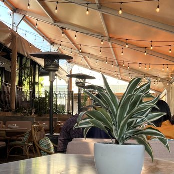 DAMA - Outdoor seating area - Latin American Near Me - Los Angeles, California DAMA - Outdoor seating area - Latin American Near Me - Los Angeles, California