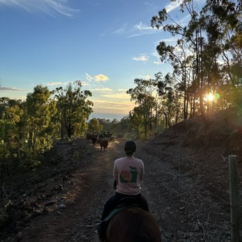 Pālehua Trail Rides - Horseback Riding Near Me - Kapolei, Hawaii Pālehua Trail Rides - Horseback Riding Near Me - Kapolei, Hawaii