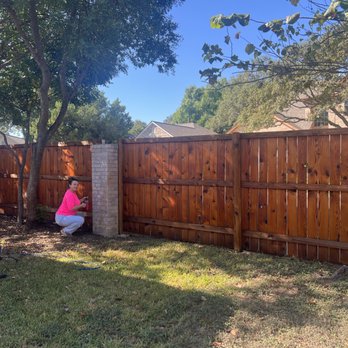Royalty Staining - Another one for the books!
Hand staining edges for a last touch on our 8 year old fence restoration job - Fences & Gates Near Me - San Antonio, Texas