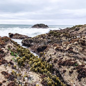 Bean Hollow State Beach - More rocky shoreline - Beaches Near Me - Pescadero, California