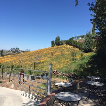 Mount Palomar Winery - Gorgeous! - Venues & Event Spaces Near Me - Temecula, California