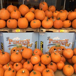 H-E-B - Pumpkins here are less expensive than at Sam's Club today!