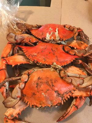 Ernie's Crab House by null