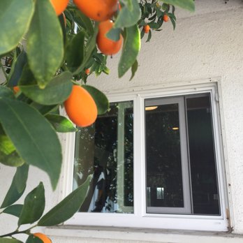 Vista Window Mfg - Windows Installation Near Me - Monrovia, California