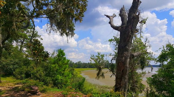 Bonaventure, Historic Savannah, Low Country & Private with Shannon Scott Tours by null