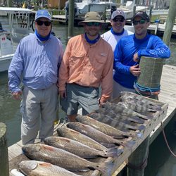 Cape Crusader Charters