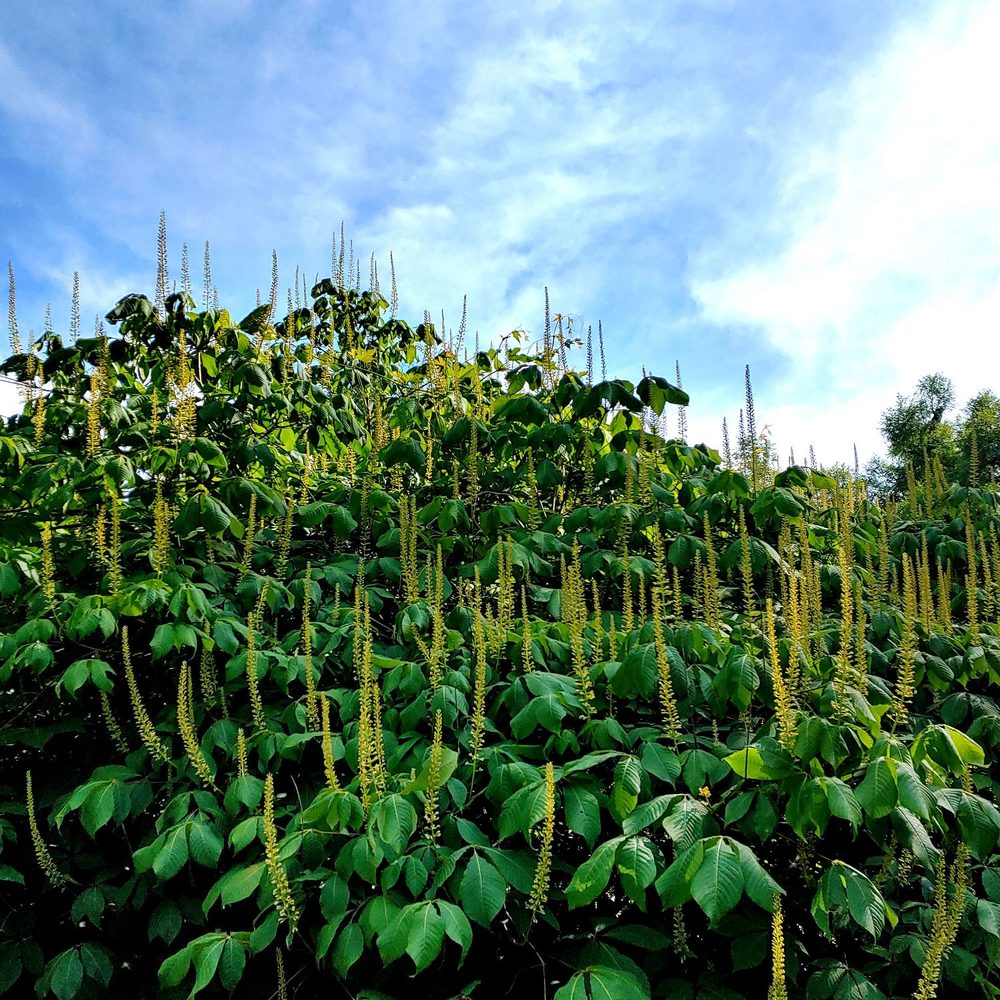 Alms Park - Two story plant - Parks Near Me - Cincinnati, Ohio Alms Park - Two story plant - Parks Near Me - Cincinnati, Ohio