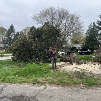 Lopez Tree Service - Tree Services Near Me - Jeffersontown, Kentucky Lopez Tree Service - Tree Services Near Me - Jeffersontown, Kentucky