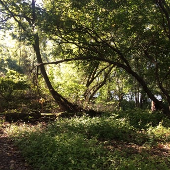 Fernbank Park - Parks Near Me - Cincinnati, Ohio