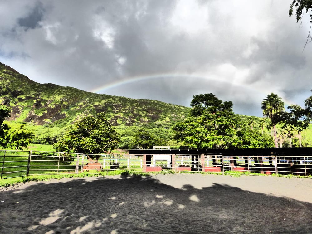 RED 120 Polo School - equestrian in Honolulu, HI