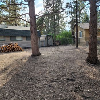 HVA Tree Care - a log pile in the foreground - Tree Services Near Me HVA Tree Care - a log pile in the foreground - Tree Services Near Me