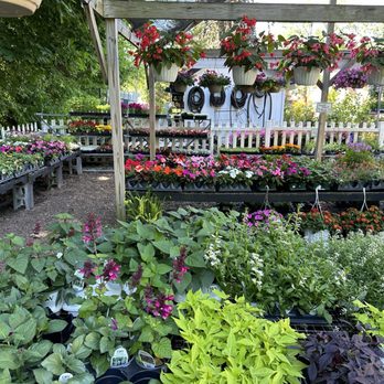 Ballantyne Gardens - Gardeners Near Me - Liverpool, New York