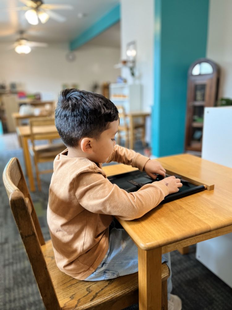 Wild Rose Montessori Preschool - childcare center in Sacramento, CA