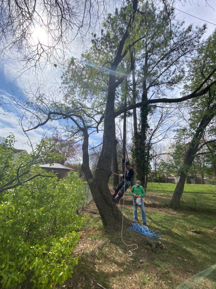 Slide of Green Landscaping