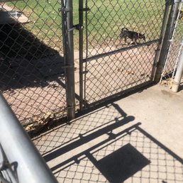 Small dog entrance that the dog walked out of. Small dog entrance that the dog walked out of.