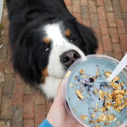 Juice Press - Pepper Approved