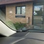 Johnson Daniel J DDS