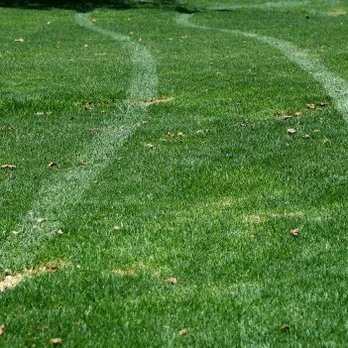Tidd lawn care - the under aged son can't back out of a drive ways, so instead, he just drives through the yard after mowing them. never again - Landscaping Near Me Tidd lawn care - the under aged son can't back out of a drive ways, so instead, he just drives through the yard after mowing them. never again - Landscaping Near Me