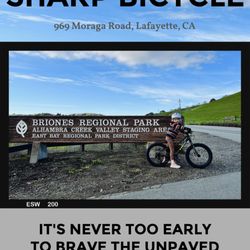Sharp Bicycle