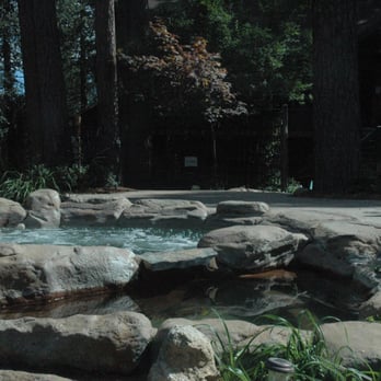 Lazy Z Resort - Resorts Near Me - Twain Harte, California