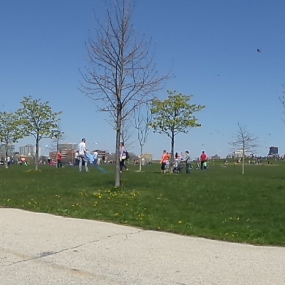 Cricket Hill - Parks Near Me - Chicago, Illinois Cricket Hill - Parks Near Me - Chicago, Illinois