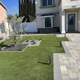 Daytime front yard view