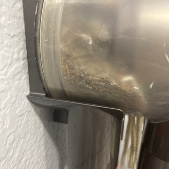 Alice's House Cleaning Service - It was completely empty. Here is the result after I vacuumed 2 carpets after their "cleaning" - Home Cleaning Near Me