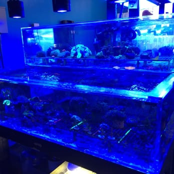 Bakersfield Aquatic Pets - Aquarium Services Near Me - Bakersfield, California Bakersfield Aquatic Pets - Aquarium Services Near Me - Bakersfield, California