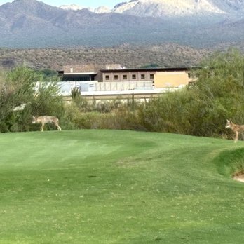We-Ko-PA Golf Club - Spotted coyotes at the last hole! - Golf Near Me - Fort Mcdowell, Arizona