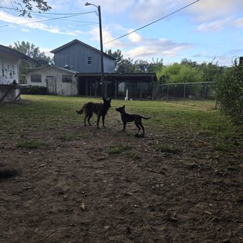 Connecting K9 - Pet Training Near Me - Alexandria, Louisiana Connecting K9 - Pet Training Near Me - Alexandria, Louisiana