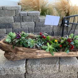 Bridget's Blooms - Back side Chestnut wood container filled with succulent and pops of color