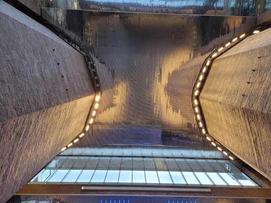 Guy-Favreau Complex by null