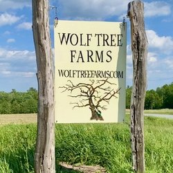 Wolf Tree Farms