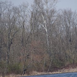 Spring Valley Wildlife Area