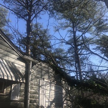 Joshua Tree Service - Fallen Tree on house - Tree Services Near Me - Marietta, Georgia Joshua Tree Service - Fallen Tree on house - Tree Services Near Me - Marietta, Georgia