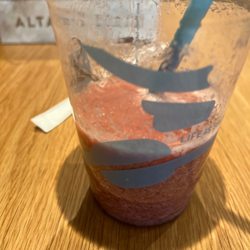 Caribou Coffee - A gross drink