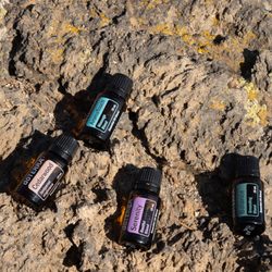 Halcyon Bodyworks - Doterra essential oils available for use upon request