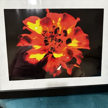 Whiptail - A purchased photograph from Whiptail from a local photographer! - Beer, Wine & Spirits Near Me - Rio Rancho, New Mexico