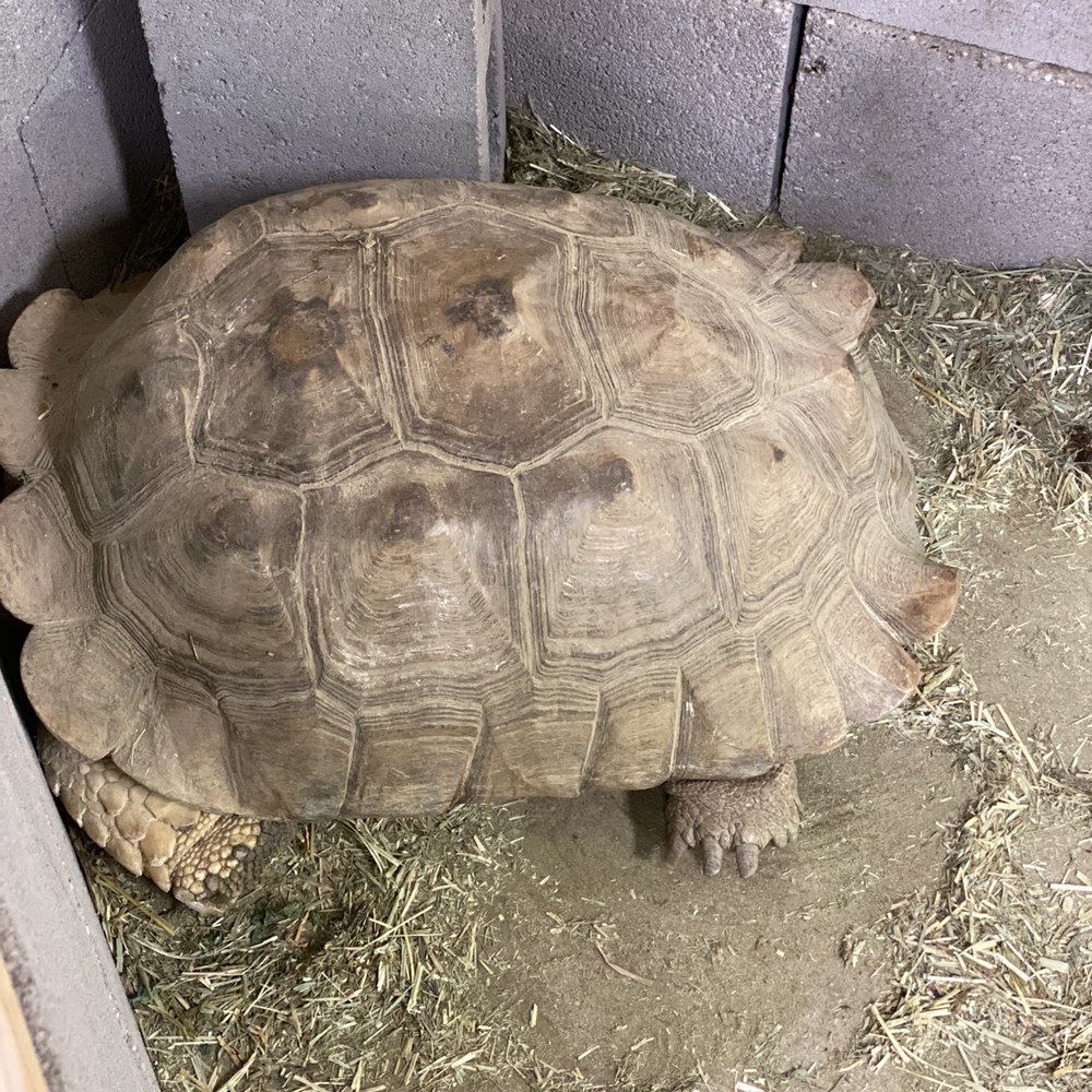 Nature Box Pet Emporium - Pet Stores Near Me - Aurora, Colorado Nature Box Pet Emporium - Pet Stores Near Me - Aurora, Colorado