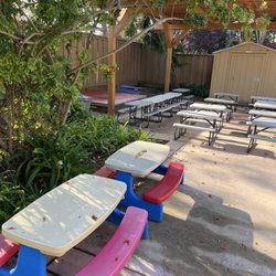 The Seedling Child Montessori School  - Picnic area