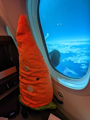 ZIPAIR Tokyo by null