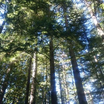 Lake Crescent - Hiking Near Me - Port Angeles, Washington