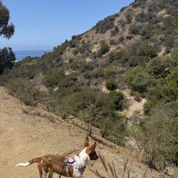 Valido Trail - Hiking Near Me - Laguna Beach, California
