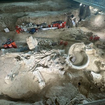 Waco Mammoth National Monument - Museums Near Me - Waco, Texas Waco Mammoth National Monument - Museums Near Me - Waco, Texas