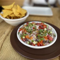 Nopalito - Ceviche de Temporada - healthy amount of fish, fresh fruit, and a dash of heat. Super tasty.