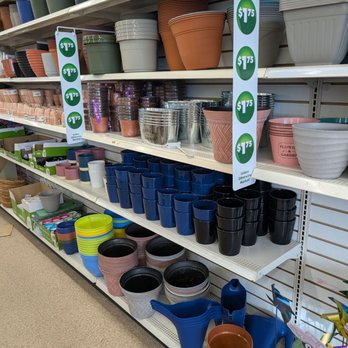 Dollar Tree - Planting pots - Discount Store Near Me - Winnipeg, Manitoba